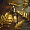 XERJOFF - SHOOTING STARS - Cruz del Sur I Potocka Perfumery 2.webp