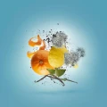 Xerjoff – Erba Pura – Potocka Perfumery 2.webp