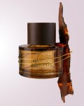 new notes - magico safrano - potocka perfumery 3.jpg