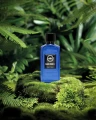 Al Ambra - Black Forest - Potocka Perfumery 2.webp