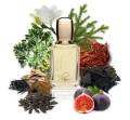 Pulme Impression - Murmure d’Eté - Potocka Perfumery 3.webp