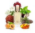 Pulme Impression - Que Tal - potocka perfumery 3.webp