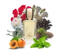 Plume Impression - Etat de Grâce - Potocka Perfumery 3.webp