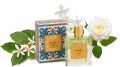 Zagara Orange Blossom #2.png
