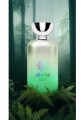 agharti Hidden Shores potocka perfumery 2.jpg