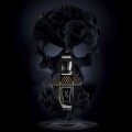 Tony Iommi Deifeid - potocka perfumery 3.jpg
