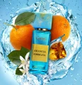 Gritti- Arancia Ambrata - potocka perfumery 3.webp