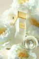 Gritti- Monica- potocka perfumery 3.webp