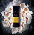 Gritti-  Magnifica Lux  - potocka perfumery 3.webp