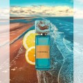 Gritti Costiera potocka perfumery 3.jpg