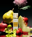 Gritti Eclectique potocka perfumery 2.webp