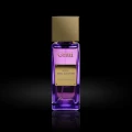 Gritti kill the lights potocka perfumery 1.webp