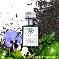 O'Hello Gallagher Potocka Perfumery 2.webp